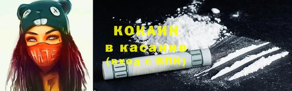 молекула духа Вяземский