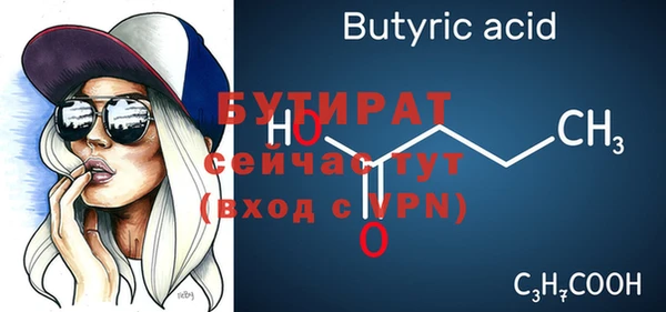 крисы Кулебаки