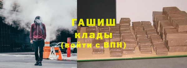 молекула духа Вяземский