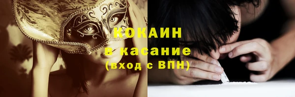молекула духа Вяземский