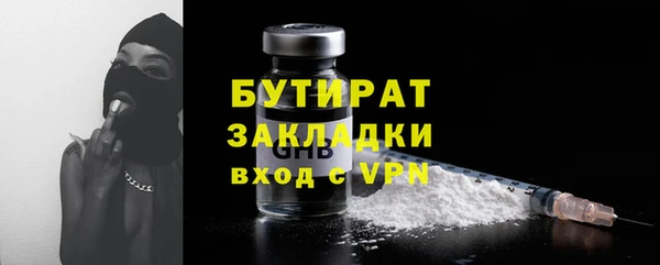 молекула духа Вяземский