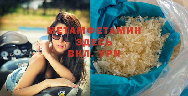 молекула духа Вяземский