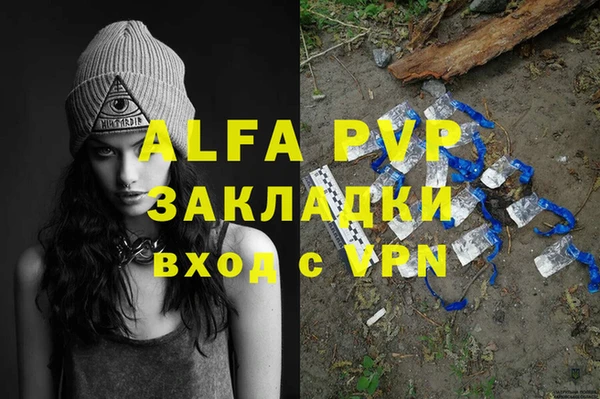 молекула духа Вяземский