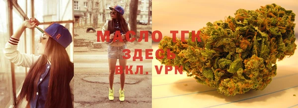 молекула духа Вяземский