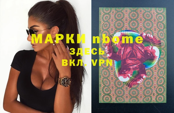 крисы Кулебаки