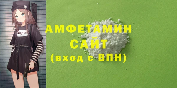 молекула духа Вяземский