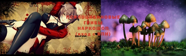 молекула духа Вяземский
