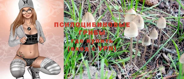 молекула духа Вяземский